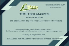 timitiki-diakrisi-site