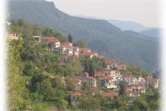 xorio