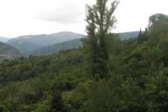 xorio10