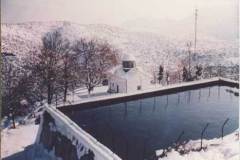 xorio13