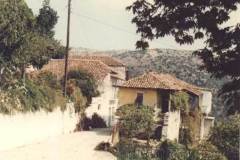 xorio14