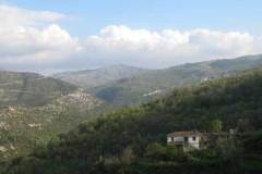 xorio17