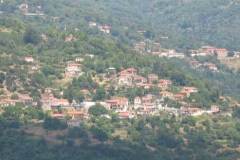xorio5