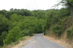 xorio6