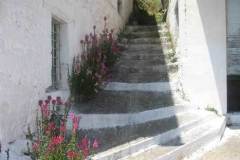 xorio9